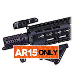 File:配件 特殊 AR15.png