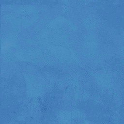 File:WhiteV2022 floor.png