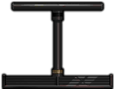 File:Pet bird eagle.png