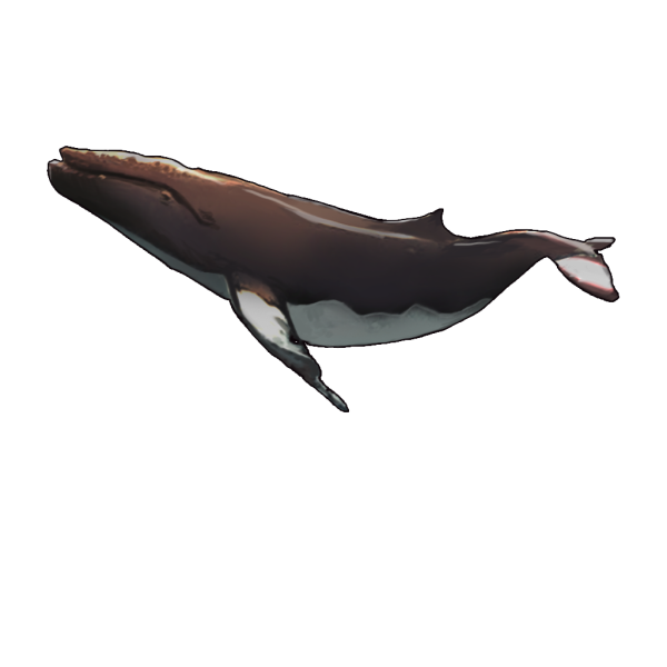 File:Bwg2017 deco 06.png