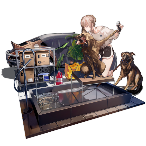 文件:Pic SCARL 30005.png