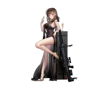 Pic DSR50 2101.png