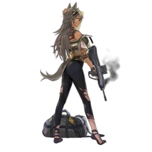 Pic CR21 D.png