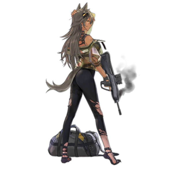 File:Pic CR21 D.png