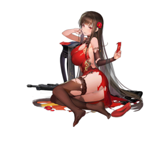 Pic DSR50 1801 D.png