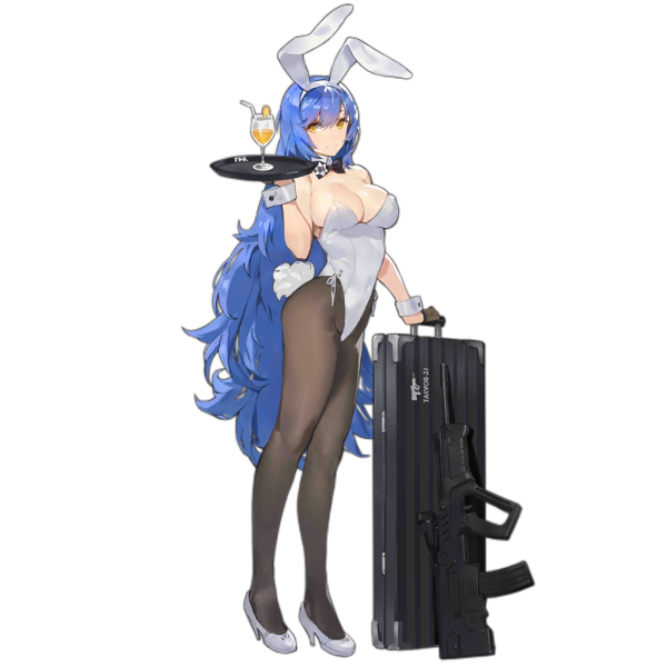 File:Pic TAR21 1305.png