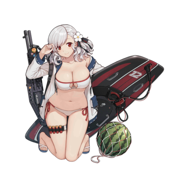 File:Pic SPAS12 2408.png