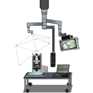 Vet2017 table lv3.png