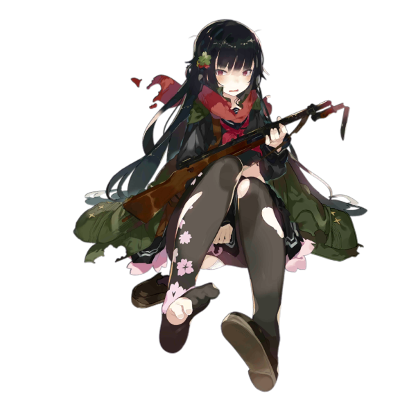 File:Pic Type100 D.png