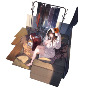 Pic DSR50 30002 HD.png