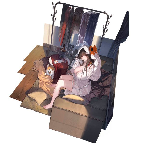 File:Pic DSR50 30002 HD.png
