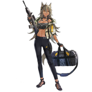 Pic CR21.png