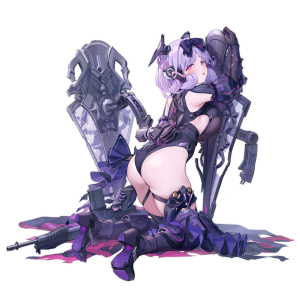 Pic SPAS15 10903 D.png