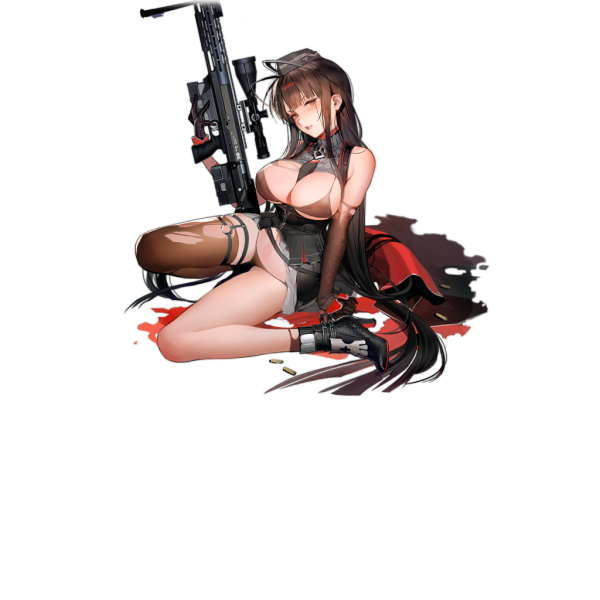 File:Pic DSR-50 D.png