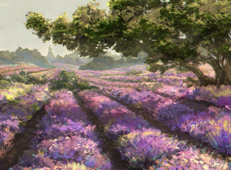 File:芙洛拉花径.jpg