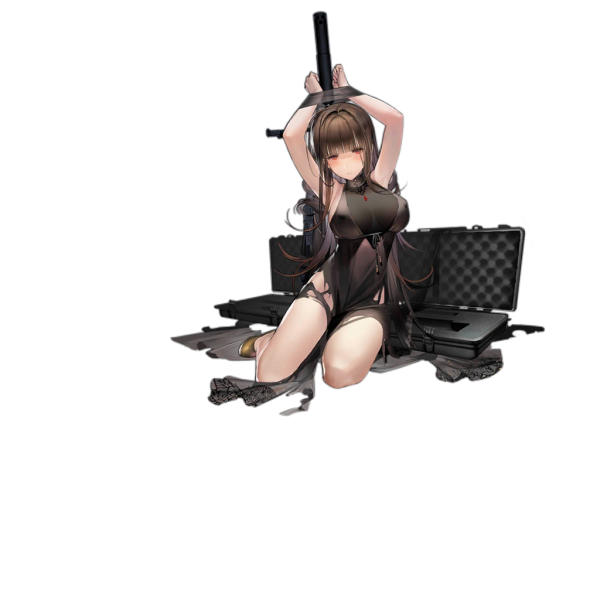 File:Pic DSR50 2101 D.png