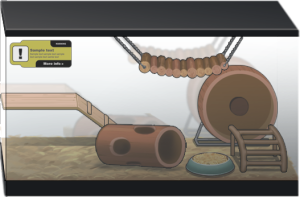 Vet2018 cage lv2.png