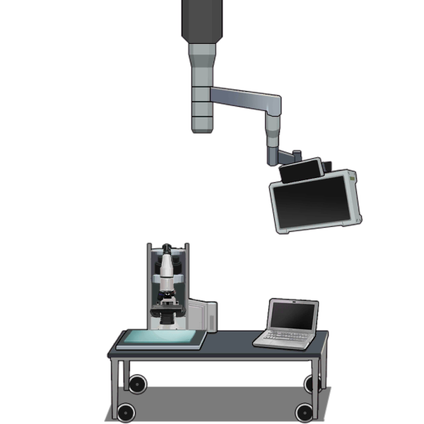File:Vet2017 table lv2.png