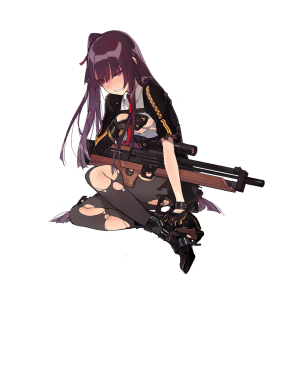 WA2000 D.png