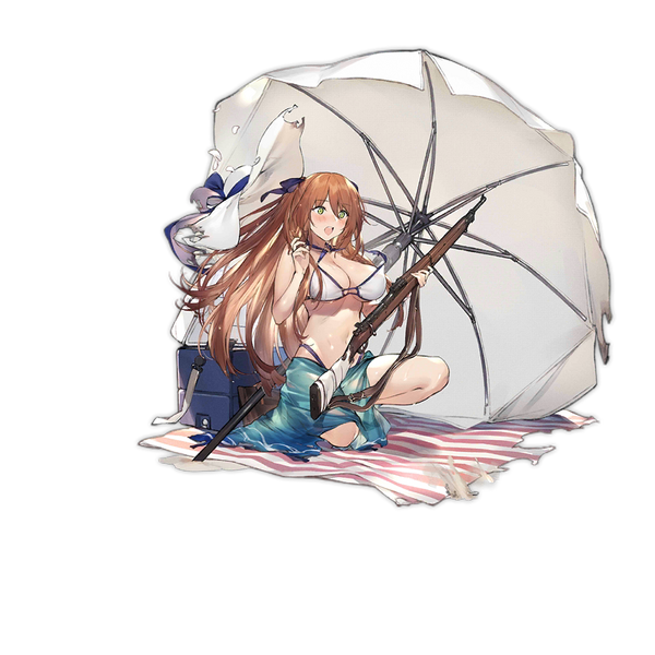 File:Pic M1903 1107 D.png