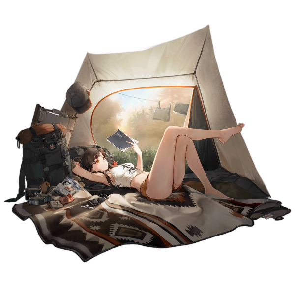 File:Pic QBZ191 30008 D x2048.png