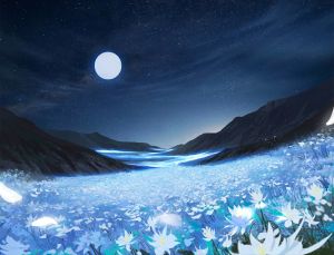 幻梦花海.jpg