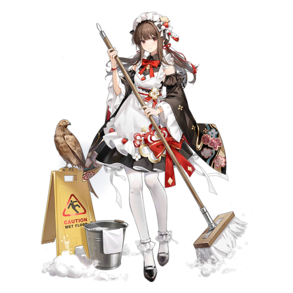 File:Pic Falcon 8908.png