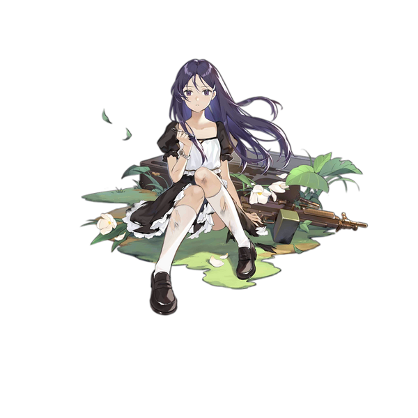 File:Pic Claes 545 D.png