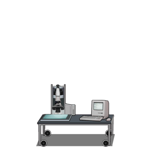 File:Vet2017 table lv1.png