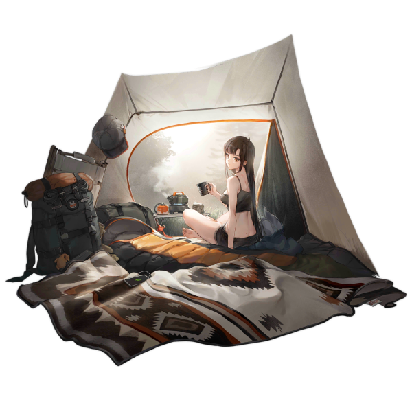 File:Pic QBZ191 30008 x2048.png