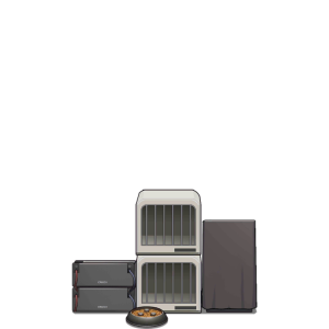 Vet2017 Kennel lv2.png