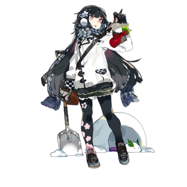 File:Pic Type100 4004.png