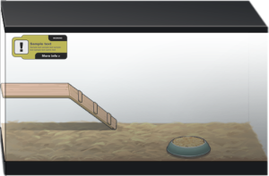 Vet2018 cage lv1.png